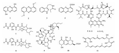 動物來源放線菌的次級代謝產(chǎn)物及其生物活性研究進(jìn)展 純化策略與挑戰(zhàn)