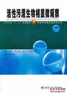 活性污泥生物相顯微觀察與海洋生物活性物質(zhì)提取技術(shù)對比分析