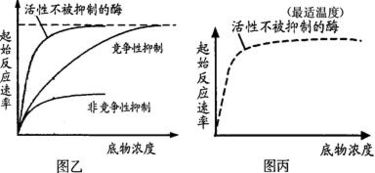 合成技術(shù)研發(fā)中的酶競爭性抑制機(jī)制及其啟示